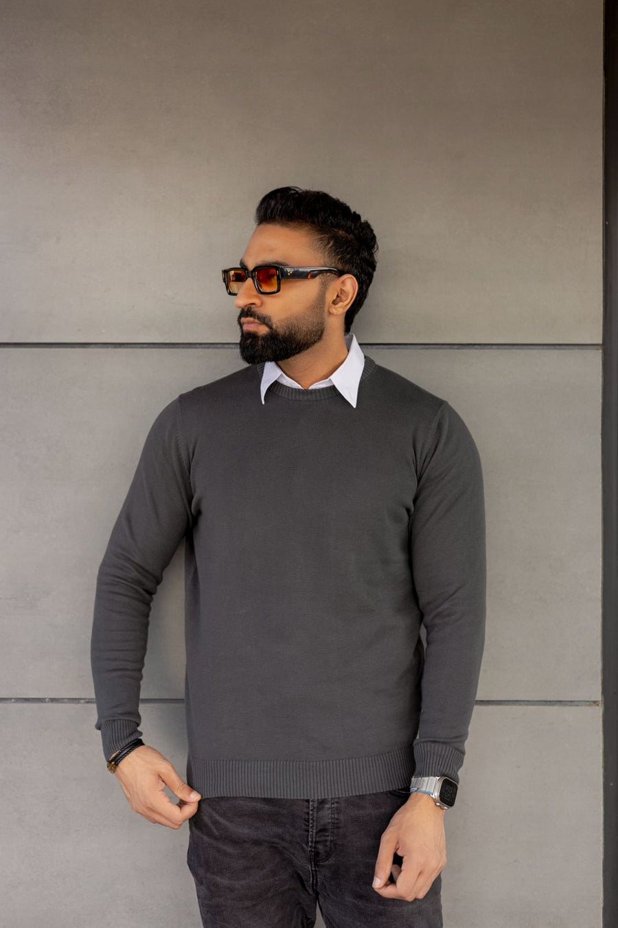VOGUE MEN'S CREWNECK PULLOVER SWEATER LONG SLEEVE CINEREOUS